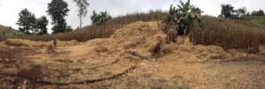 Corn waste waiting to be turned into biochar