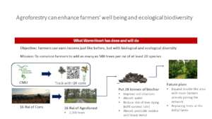 Agroforestry update