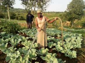 Kenya farm produce with biochar fertilizer