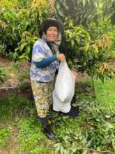 Farmer using biochar