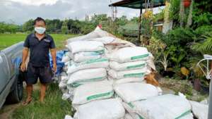 Farmer in Thailand adding biochar to crops