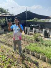 Intensive farming with simple tech