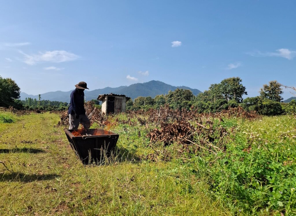 Making biochar-remote tracking: clear sky,no smoke
