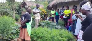 Biochar pilot garden in Uganda