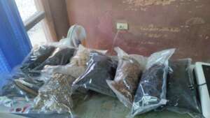 biochar and feedstock ready for testing