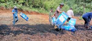 Biochar added to retain water for coffee plants