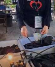 Good biochar conducts electricity