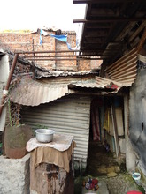Rani's house