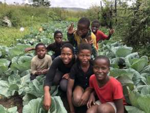 Seven grandchildren in the vegetable garden
