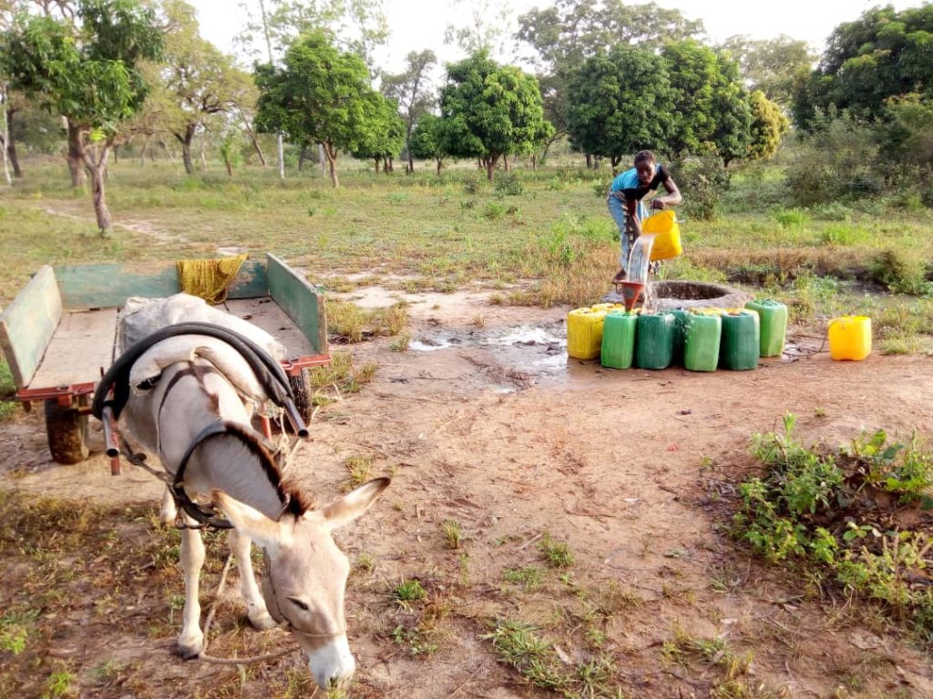 Hand Pump to Provide Water for Dodougou