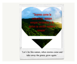 Inspirational social media campaign