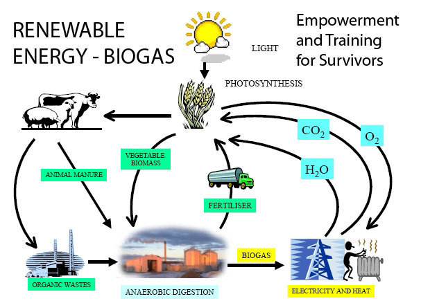 Empower 300 survivors with jobs & renewable energy
