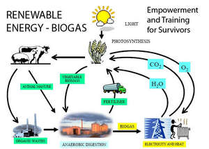 Biogas diagram