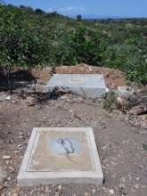 Septic tank