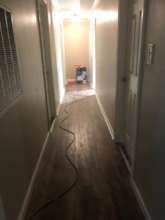 The hallway is new again!