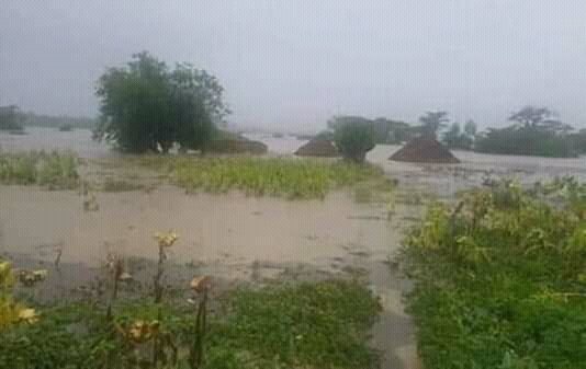 Help 500 families in Zim affected by Cyclone Idai