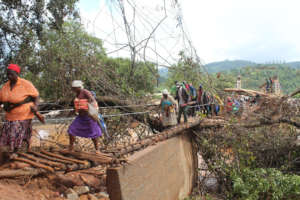 More Zimbabweans crossing the makeshift bridge