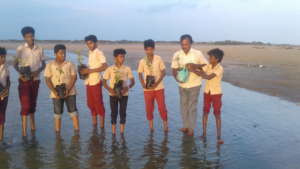 Mangrove planting work in Vedaranyam