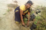 Wetland promotion through Mangroves conservation