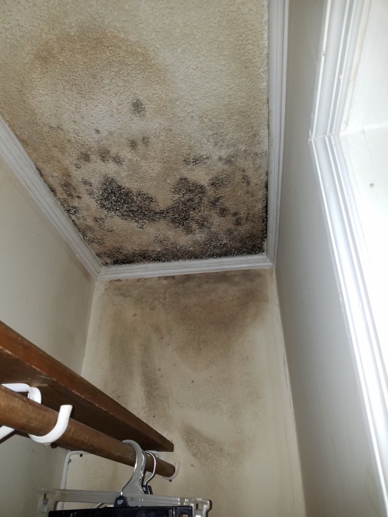 Rebuild 6 Hurricane Florence Damaged Homes