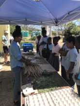 Romina Ramos teaches about the benefits of moringa