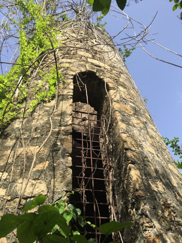 Creating a more resilient environment on St. Croix