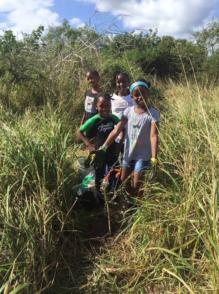 Creating a more resilient environment on St. Croix