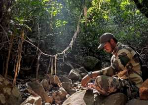 Filed researcher collecting data