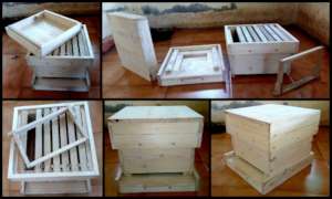 BEEFRENDLY BOXES