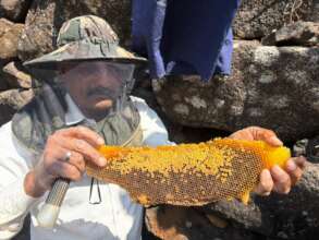 Hive with Queen's Chambers bottom left &right side