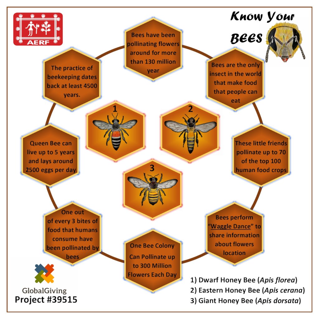 KNOW YOUR BEES!