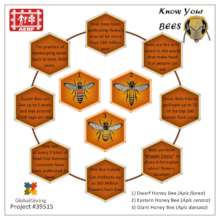 KNOW YOUR BEES!