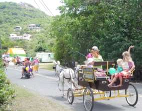 Carolina Corral Donkey Cart