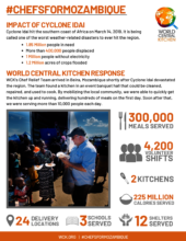 Report Summary