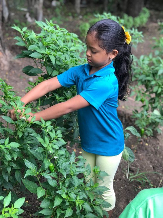 Build a School Cafeteria & Kitchen in Nicaragua