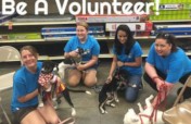 Support A No Kill Shelter