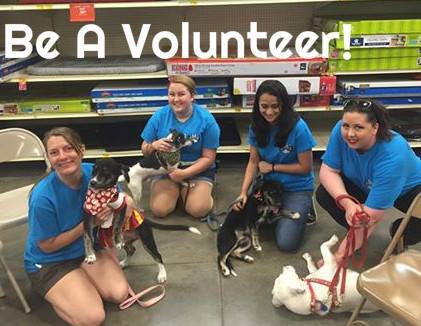 Support A No Kill Shelter