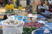 Finance Microloans to Empower Women in Uganda