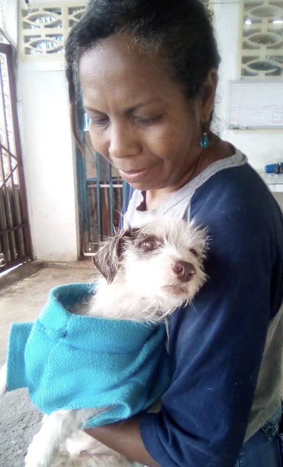 Help us stop cancerous tumours in Venezuelan dogs