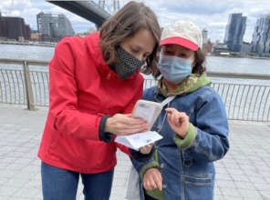 Sharing stories with the new Campaign tool on OGM2