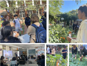 Harbor School mapping on Governors Island, NYC