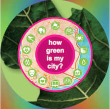 Green Map's 25th anniversary exhibit and events