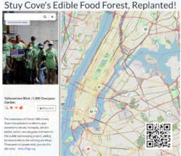 Charting native plants seeded by Stuy Cove, NYC