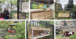 Rain barrels, composting, even Little Libraries!