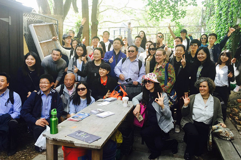 NYC Green Maps + Climate Action