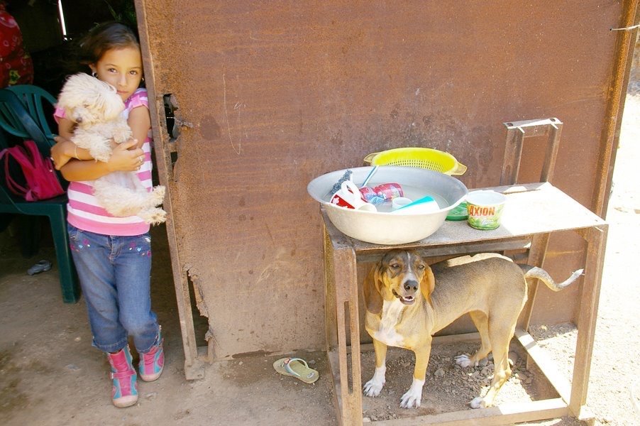 Help us spay&neuter +500 dogs in Venezuela
