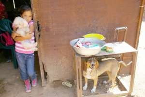 Help us spay&neuter +500 dogs in Venezuela