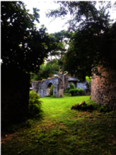 Heritage Site for Bamboula Gathering for HEAL VI