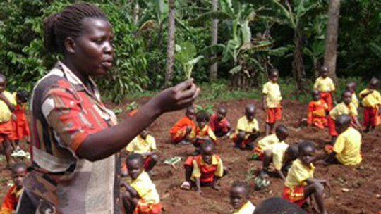 Empower Ugandan school children to combat hunger