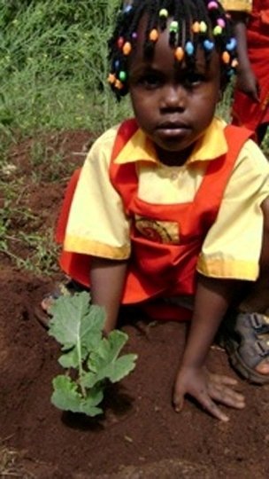 Empower Ugandan school children to combat hunger